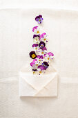Viola flowers and envelope
