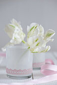 White parrot tulips in glass