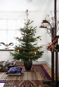 Christmas tree and cushions on layered ethnic-style rugs