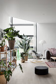 Houseplants in modern living room with corner window