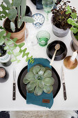 Set table decorated with potted houseplants and succulent leaves on plates