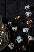 Stems of cotton bolls on black wooden surface