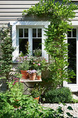 Sommerlicher Vorgarten und Pflanzentisch vor Holzhaus