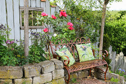 Garden bench in front of blooming woody peony on a dry stone wall