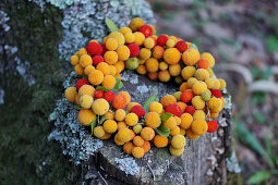 Wreath of yellow and red fruits from the strawberry tree