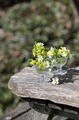 Small spring decoration with wood anemones, primroses, and milkweed