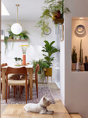 Dining area in split-level interior decorated with many houseplants