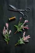 Tying a posy of dappled willow branches with pink variegated leaves