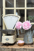 Peonies in a zinc jug with a pair of old kitchen scales