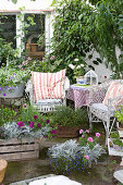 Wicker furniture, potted plants and herbs on summer terrace