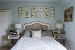 Bildergalerie mit Vogelbildern überm Bett im hellblauen Schlafzimmer