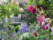 Wooden bench next to picturesque bed of roses ('Ghislaine de Féligonde', 'Laguna', 'Super Excelsa', 'Super Fairy') and campanula
