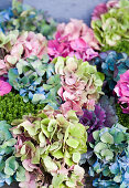 A colorful mix of hydrangea flowers and ornamental cabbage