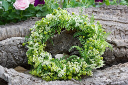 Wreath of privet flowers, wild chamomile, and yarrow leaves