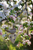 Swallow and wooden heart in a blossoming apple tree