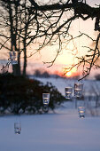 Hanging lanterns on a tree in a snowy garden