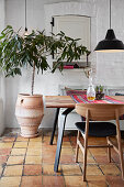 Tree house plant in the dining area with terracotta tiled floor