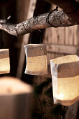 Small paper candle lanterns hung from branch