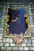 Sunken pond with colourful pebbles