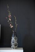 Flowering branch in vase against black wall