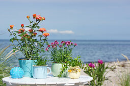 Pot plants on a table on the beach