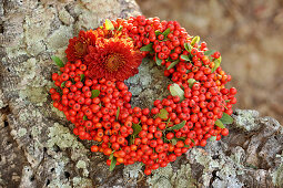 Wreath of pyracantha berries