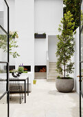 Patio with white walls and plant