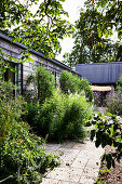 Paved path and wooden summerhouse in summer garden