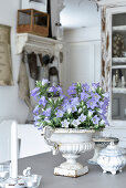 Blue bellflowers in an amphora and Shabby Chic decoration