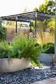 Herbs in a galvanized planter surrounded by black diabase, pergola in the background