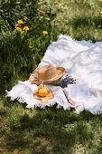 Picnic blanket with feminine accessories placed on green meadow in sunny summer day in countryside
