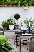 Seating area and potted plants on wooden terrace