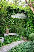 Versteckter Sitzplatz umgeben von Kletterpflanzen im Garten