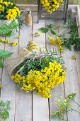 Strauß aus Rainfarn (Tanacetum vulgare)