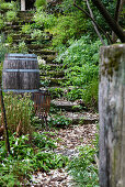 Moss-covered stone stairs, a wooden barrel and rusty metal in a garden