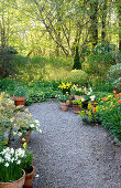 White and yellow potted plants along a garden path