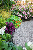 Flowering perennials and shrubs on a gravel path in a garden