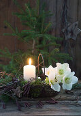 Candle in a metal basket with Christmas roses