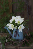 Bouquet of Christmas roses in a nostalgic children's watering can surrounded by alder and birch twigs