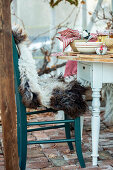 Stuhl mit Tierfell am gedeckten Tisch im Gewächshaus