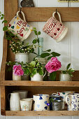 Wandregal mit Tassen und rosa Rosen