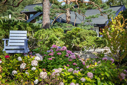 Meditation place surrounded by hydrangeas and conifers