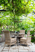 Cozy seating area with rattan chairs under vine pergola in the greenhouse