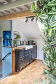 Small kitchen unit with grey cabinet fronts, houseplants in the foreground