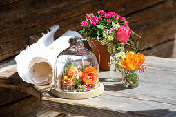 Rose blossoms under a glass bell, in jars and in a terracotta pot