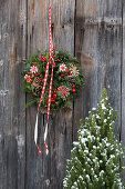 Christmas wreath made of fir greenery, cones and red berries in front of a rustic wooden wall