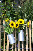 Sunflowers with poppy pods and hydrangea in milk jugs