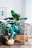 Rattan armchair surrounded by houseplants