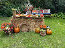 Herbstdekoration im Garten mit Kürbis, Herbstblumen und Strohtisch