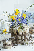 Irises with birch twigs, daffodils and plum blossoms as a bouquet in a birch branch vase